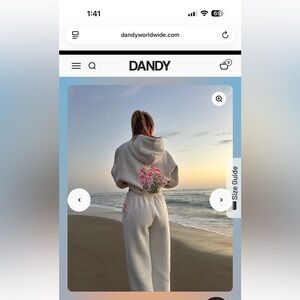 Dandy “gift giving” sweatpants in heather gray